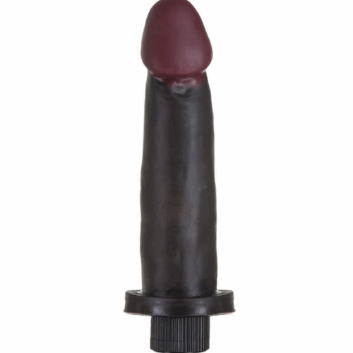 PRÓTESE HOT BLACK 18X4,5CM (HP240HBI) COM VIBRO - HOTFLOWERS