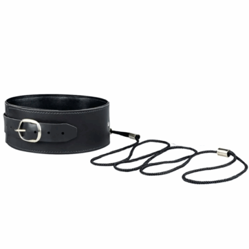 COLEIRA DE COURO COM GUIA (PB334) PRETO - PAU BRASIL